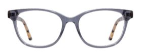 Classics Grey Tortoise 01.jpg