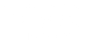 Boro Logo Light crop.png