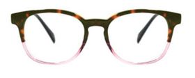 Classics Tortoise Rose 04.jpg