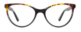 Classics Tortoise Onyx 03.jpg