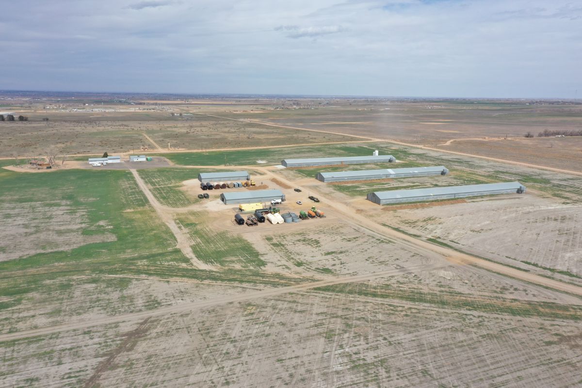 DJI_0094.JPG