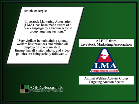 Animal Welfare Activist Targeting Auction Sector. RE.png