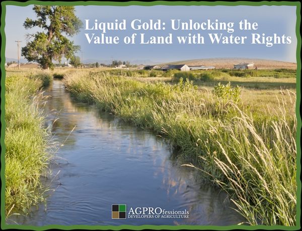 Liquid Gold Land with Water Rights in Colorado.jpg