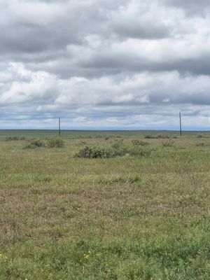 20250526_132717.jpg