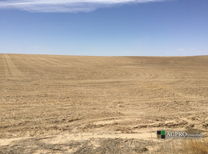 Dryland Farm Ground - Woodrow Colorado - 2 320 Acre Parcels - Seelhoff and Martinez - AGPROfessionals 9.png