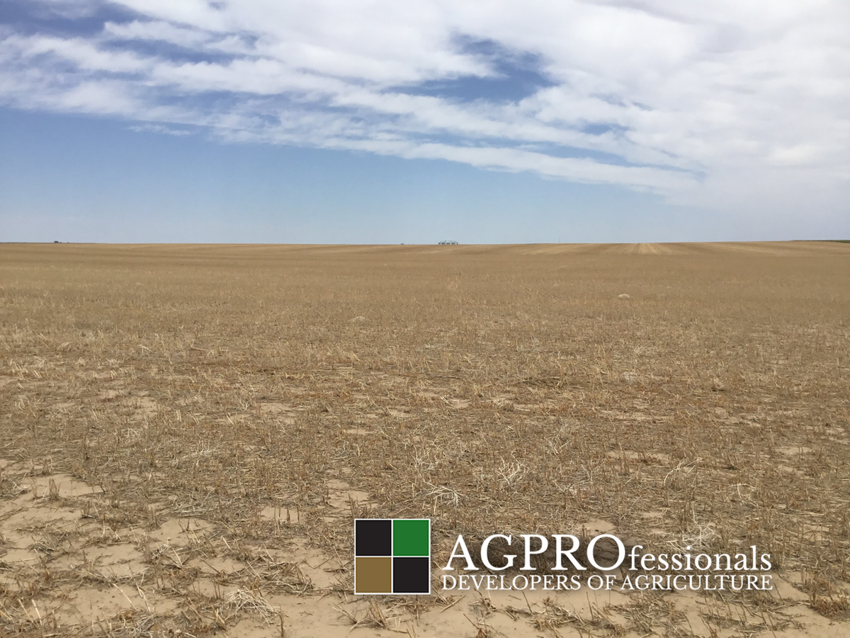 Dryland Farm Ground - Woodrow Colorado - 2 320 Acre Parcels - Seelhoff and Martinez - AGPROfessionals 3.png