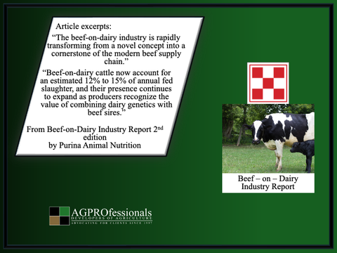 beef on dairy industry report RE.png