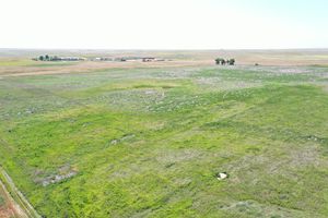 DJI_0919.JPG
