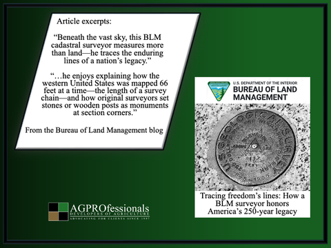 Tracing freedoms lines RE.png