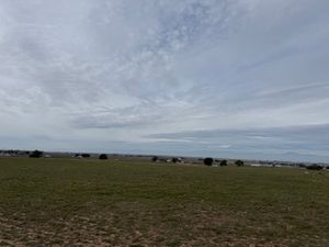 IMG_4729.jpeg