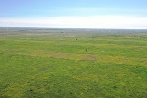570 acres of CRP farmland with conservation program contract in Nunn, Colorado 570 acres of CRP farmland with conservation program contract in Nunn, Colorado