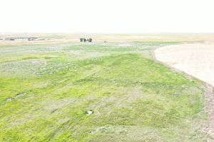 DJI_0918.JPG