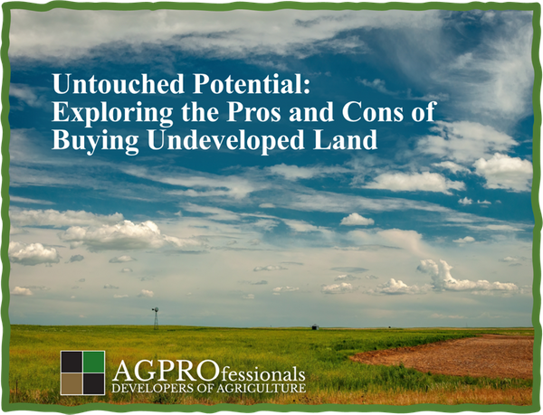 Buying Undeveloped Land - Raw Land - Real Estate 