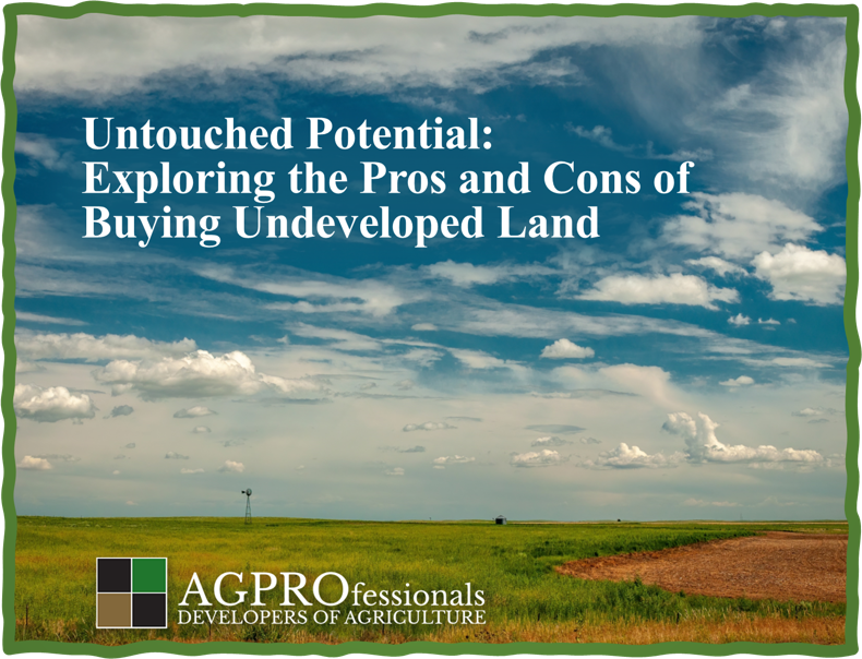 Buying Undeveloped Land - Raw Land - Real Estate 