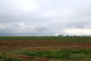 7A5A1720.JPG