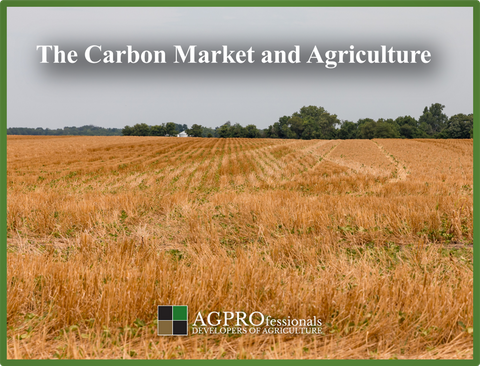 Carbon Market and Agriculture.png