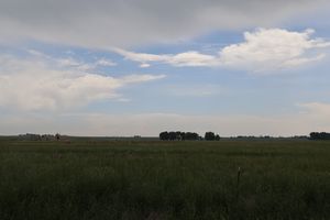 7A5A1767.JPG