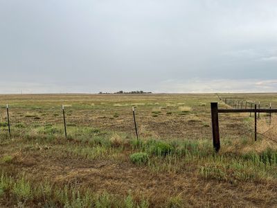 pasture.jpeg