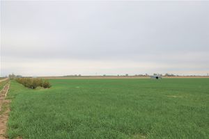 Large Irrigated Farm with Henrylyn Water Rights – Keenesburg, CO