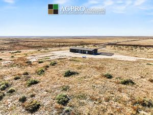 37.JPG