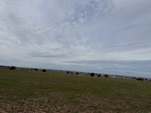 IMG_4734.jpeg