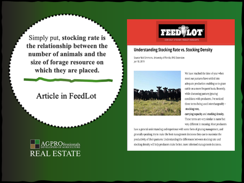 real estate feedlot.png