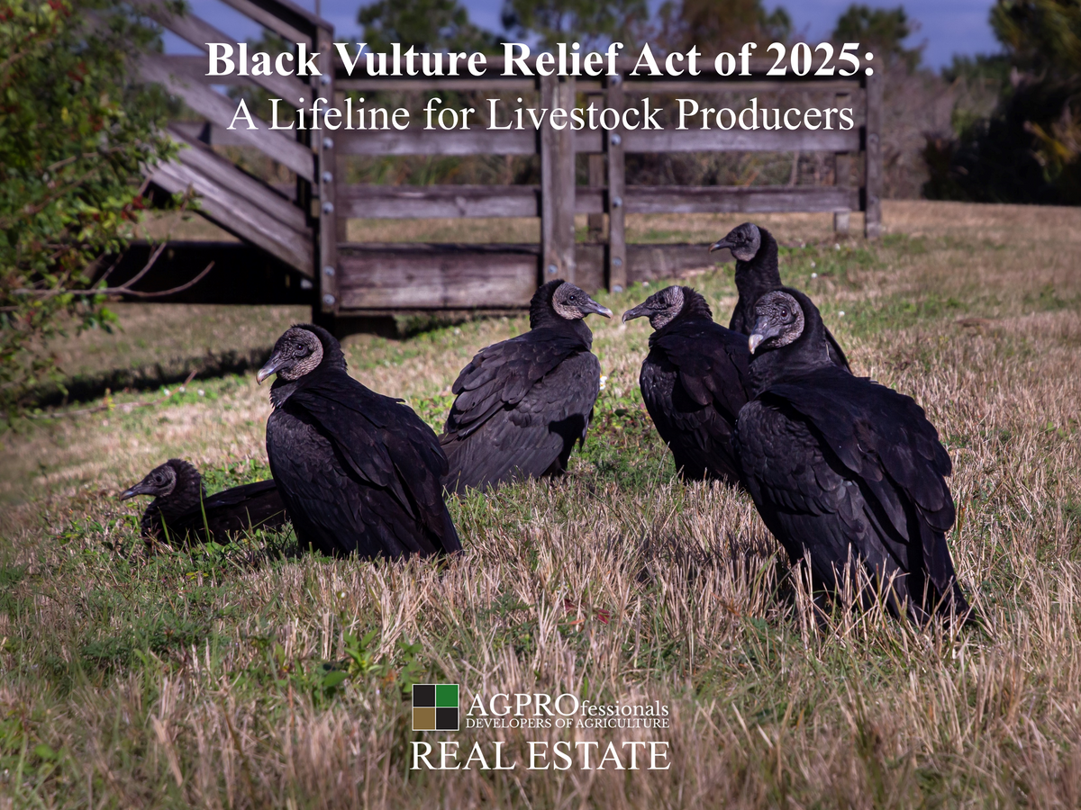 Black Vulture Relief Act of 2025 