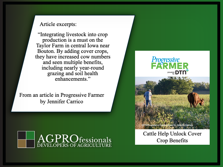 cattle help unlock cover crop benefits RE.png