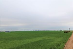 Large Irrigated Farm with Henrylyn Water Rights – Keenesburg, CO