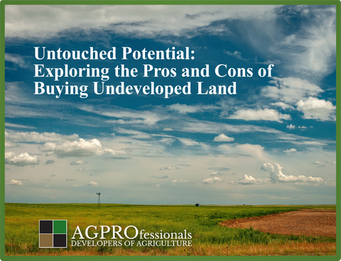 Untouched Potential - Exploring the Pros and Cons of Buying Undeveloped Land.png