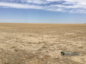 Dryland Farm Ground - Woodrow Colorado - 2 320 Acre Parcels - Seelhoff and Martinez - AGPROfessionals 5.png