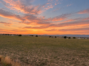 Soft sunset over mountain pasture.png