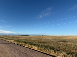 IMG_4787.jpeg