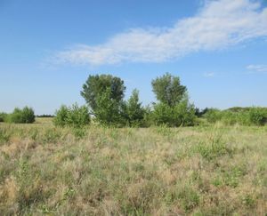 Keenesburg-CO-143-Acres-Irrigated-Farm_13-845x684-160923-57e545504d670.jpg