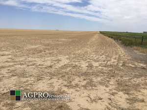 Dryland Farm Ground - Woodrow Colorado - 2 320 Acre Parcels - Seelhoff and Martinez - AGPROfessionals 4.png