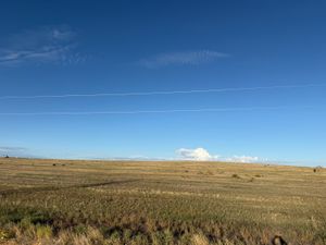 IMG_4786.jpeg