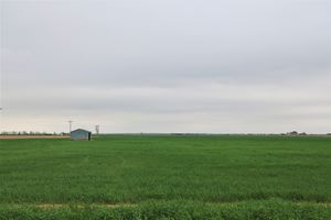 Large Irrigated Farm with Henrylyn Water Rights – Keenesburg, CO