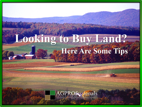 Land Purchasing Guide cover image.png