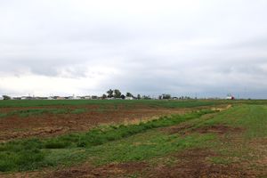 7A5A1719.JPG