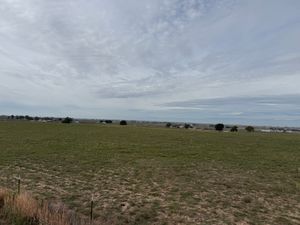 IMG_4735.jpeg