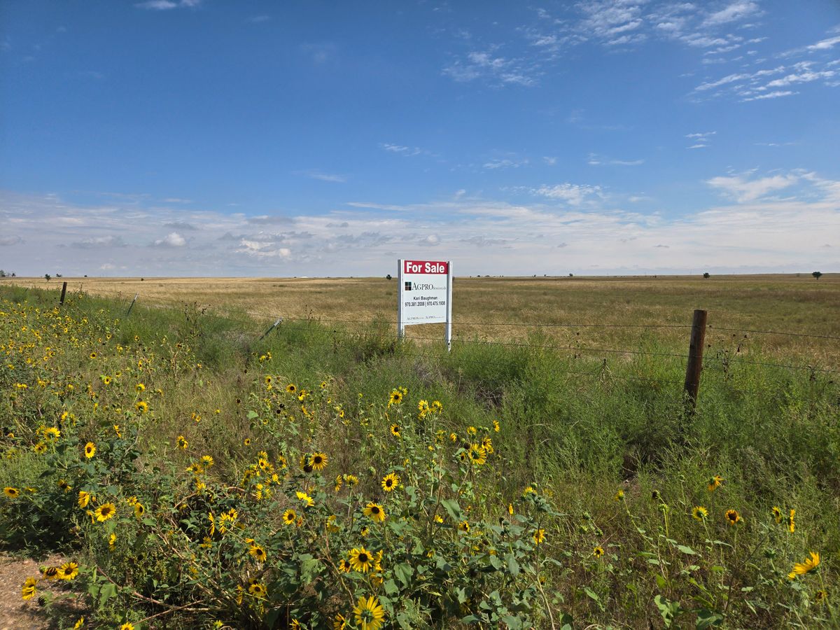 Sign pic.jpg