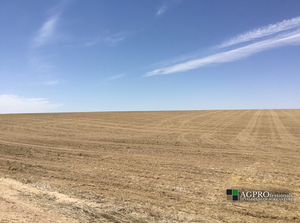 Dryland Farm Ground - Woodrow Colorado - 2 320 Acre Parcels - Seelhoff and Martinez - AGPROfessionals 10.png
