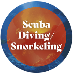 snorkeling.png