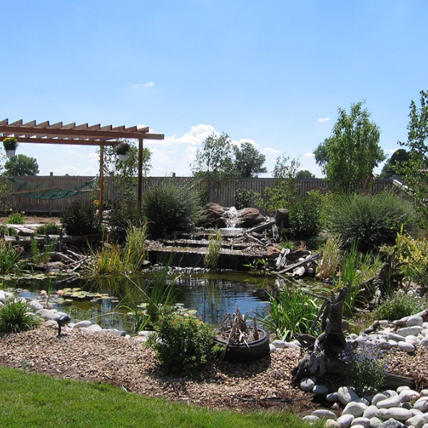 Ponds
