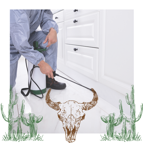 professional pest control technician 