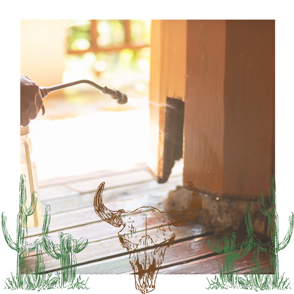 Insect repellent being sprayed