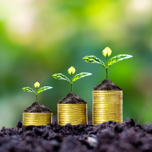 Understanding Offer in Compromise_ How Tax Representation Can Help4.png