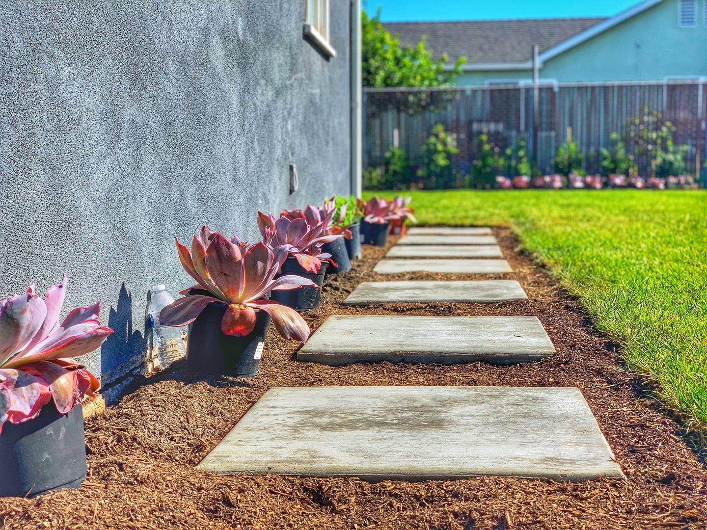 pavers in mulch with succulent plants