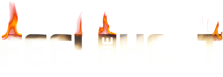 feel-the-heat-tour2026 copy.png
