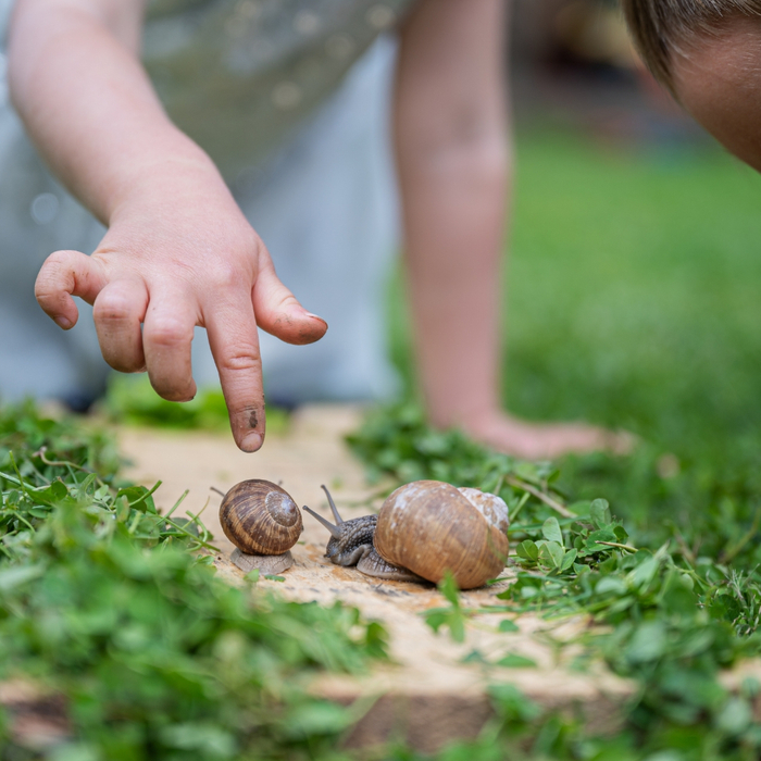 toddler touching a snail